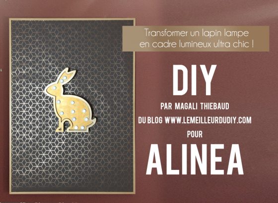 Battle DIY LemeilleurduDIY Alinea Magali THIEBAUD